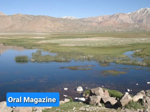 بازداشت و شکنجه یک تن به دلیل عدم همکاری با طالبان